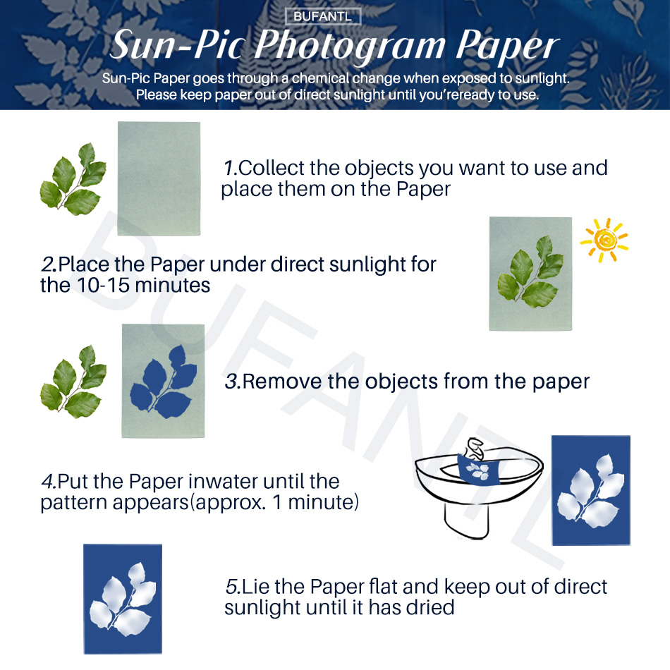 Cyanotype Paper 12 Sheets Refi - Lighting In Photography For Beginners บทวิจารณ์และราคา
