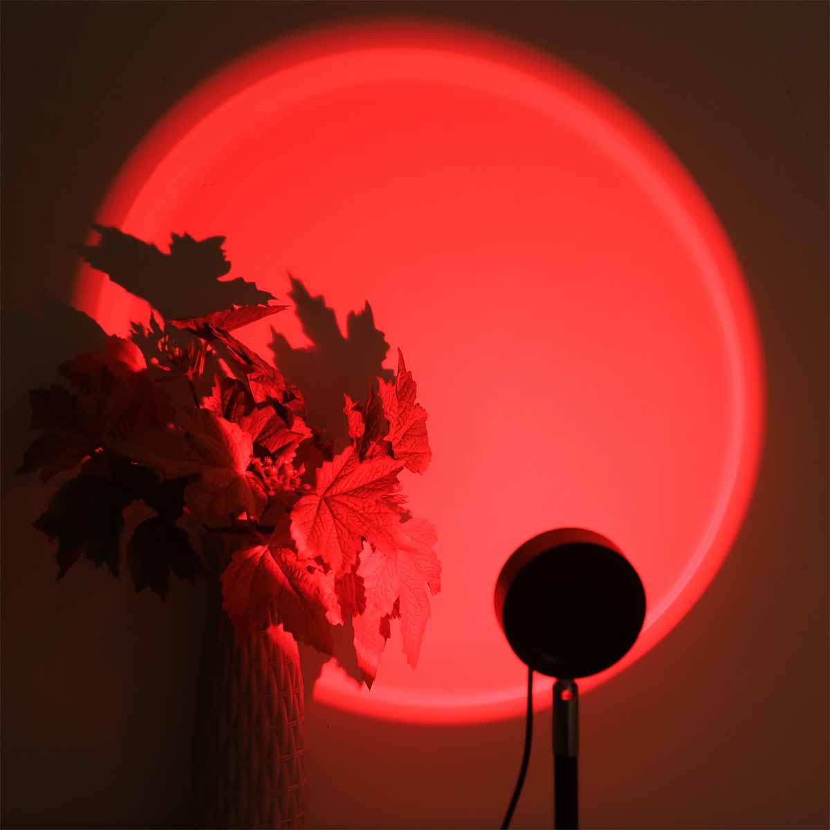 Sunset projection light remote - Photography Lighting Wall บทวิจารณ์และราคา